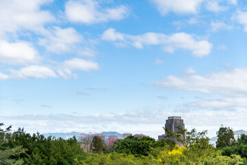 Modern building near the trees
