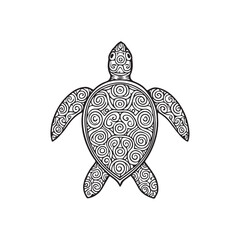 Fototapeta premium free Turtle line arts Sketches vector illustration