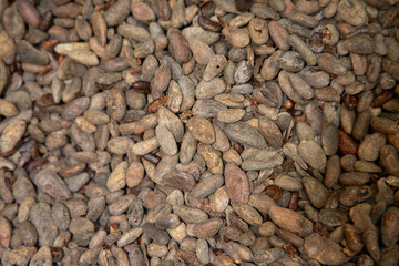 Machinery producing Mexican cocoa at the Abastos market in Oaxaca, Mexico.