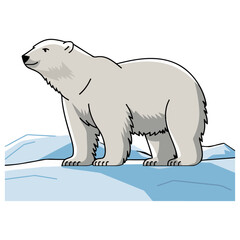 Ice bear vector art 