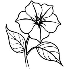 Periwinkle flower vector illustration on white background