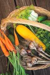 Fresh vegetables from the garden - zucchini, cucumbers, carrots, garlic, dill. Home grown harvest in a basket shot from above