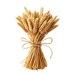 Bundle of Golden Wheat Stalks with Tied Ribbon Isolated on transparent background