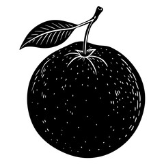 vector illustration of an apple