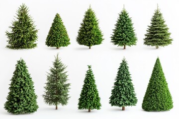 Obraz premium Diverse green christmas trees showcasing unique shapes and designs on a clean white background for creative holiday decoration inspiration and festive concepts