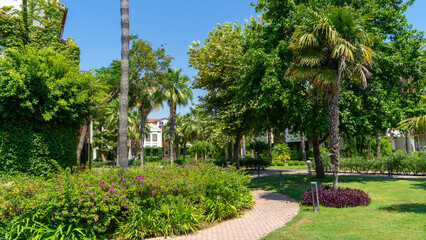 Obraz premium Alley with palm trees in Mediterranean resort town. Walking around city with tropical climate. Vacation sea. Townhouses for living in resort