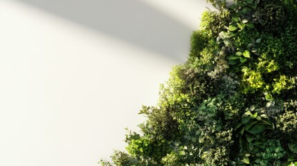 Obraz premium Lush Greenery Wall Art Displaying Various Plants and Foliage in a Modern Indoor Setting