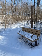 A solitary bench draped in winter’s white blanket waits patiently among bare trees, offering...