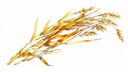 Shredded Wheat Day Watercolor of golden wheat sheaf depicting natural harvest elements
