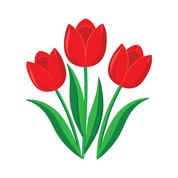 red tulips green leaves white background clip art preview