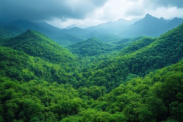 Obraz premium Lush green mountains under a cloudy sky with dramatic lighting showcasing the beauty of nature and tranquility