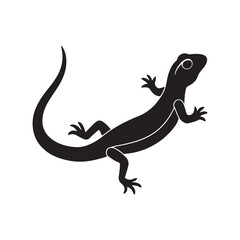lizard silhouette, black and white silhouette, vector and illustration