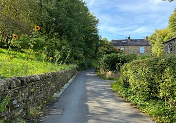 A narrow country road winds between a stone wall and lush greenery, leading to a quaint stone house under a clear blue sky. Sunflowers stand tall along the roadside in, Goose Eye, Keighley, UK