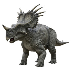 Fototapeta premium Ceratopsian Dinosaur