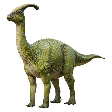 Parasaurolophus Dinosaur