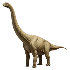 Fototapeta premium Sauropod Dinosaur
