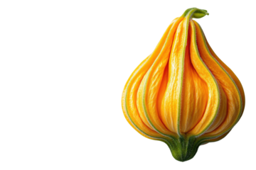 Unique yellow squash with pronounced lines from a garden, perfect for fall cooking and decoration