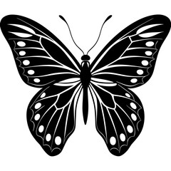 butterfly vector illustration