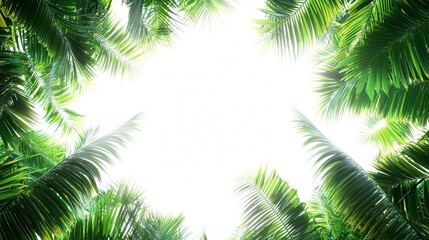 Fototapeta premium Lush green palm leaves framing bright sunlight in a tropical paradise sky