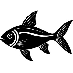 fish isolated on white