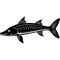 fish isolated on white