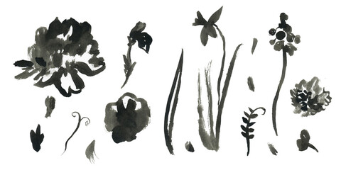 Clip art wildflowers wildflowers drawn in black ink on white isolated background. Botanical illustration collection. Designs for greeting cards, stickers, social media, posters.