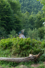 Summer Teepee in Carpathian Clearing with Beech Log in Foreground
