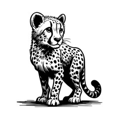 baby cheetah standing in black and white hand-drawn illustration