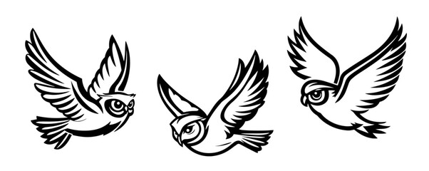 three flying owls illustration in vintage engraving style design