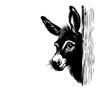 donkey head peeking behind wall in vintage engraving style illustration