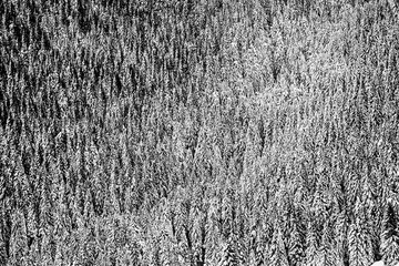 Mount Grappa