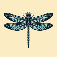 dragonfly vector illustration