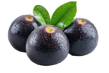 Fresh black avocados with droplets of water and green leaves displayed on a white surface