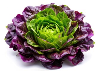 Obraz premium Gourmet salad featuring fresh, vibrant violet lettuce and edible flowers, isolated on white.