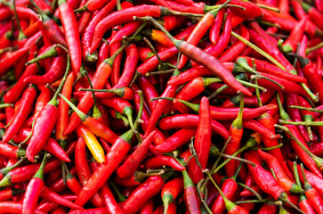 Pile of red chili peppers in market