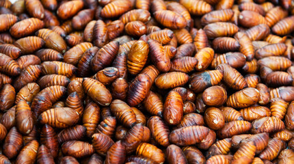 A pile of silkworm pupae in market