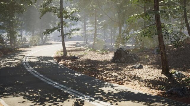 A curving road weaves through a peaceful forest, sunlight filtering through the trees, illuminating the sandy ground and enhancing the calm atmosphere of the natural setting.