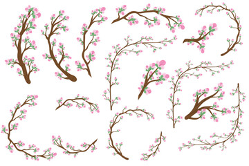 Cherry blossom, sakura blossom, different branches with pink flower