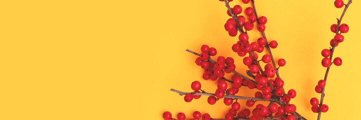 Banner with branch of red winterberry on a yellow background.