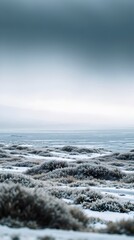 Charming Arctic Tundra Wallpaper with Moody Soft Lighting