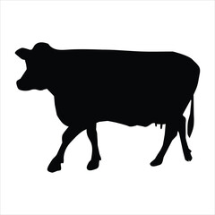 silhouette of a cow