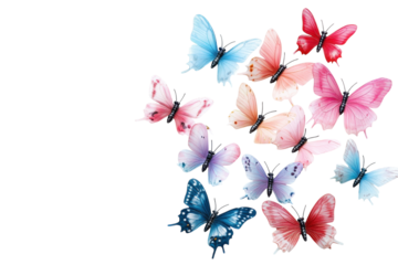 Colorful butterflies in various hues fluttering on a white background