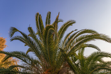 Fototapeta premium Sunrise on the beautiful Nikolas beach on the island of Rhodes in Greece. Seascape