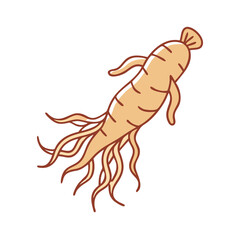 ginseng icon, ginseng vector illustration-simple illustration of ginseng, perfect for ginseng logos and themed design 