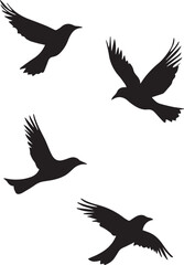 Silhouette of flying birds set on white background 