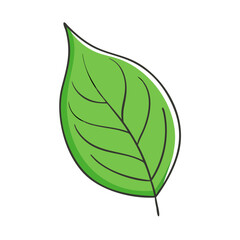 Obraz premium green leaf icon, green leaf vector illustration-simple illustration of green leaf, perfect for green leaf logos and themed design 