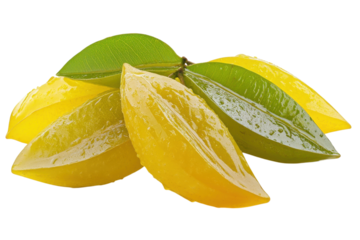 Natural wax fruit with vibrant yellow and green colors arranged harmoniously on a plain background