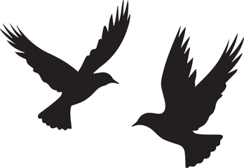 Obraz premium Silhouette of flying birds set on white background 