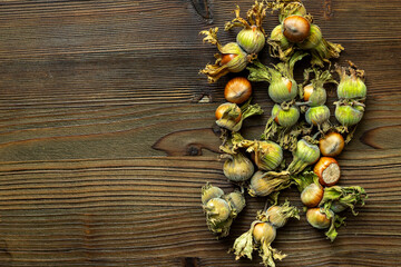Hazelnuts in shell with leaves, top view. Hazelnut harvest time