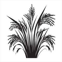 Rice plant silhouette on white background
